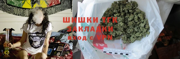 спиды Болотное
