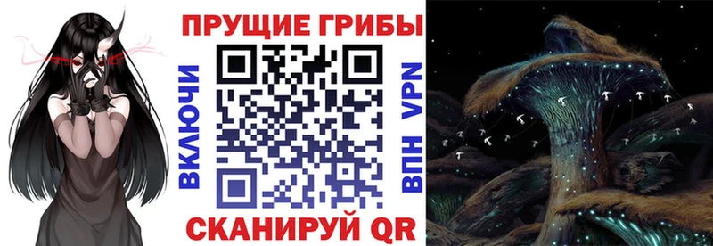 Галлюциногенные грибы Psilocybine cubensis  Купить  Еманжелинск 